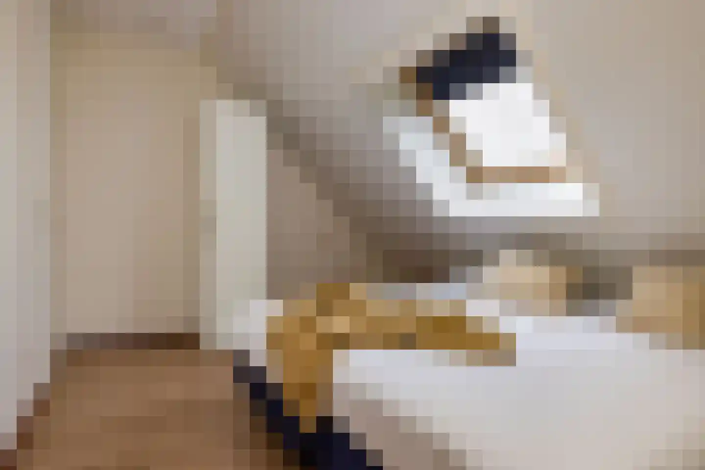 Pharshoeke 57 Heeg thumbnail 31