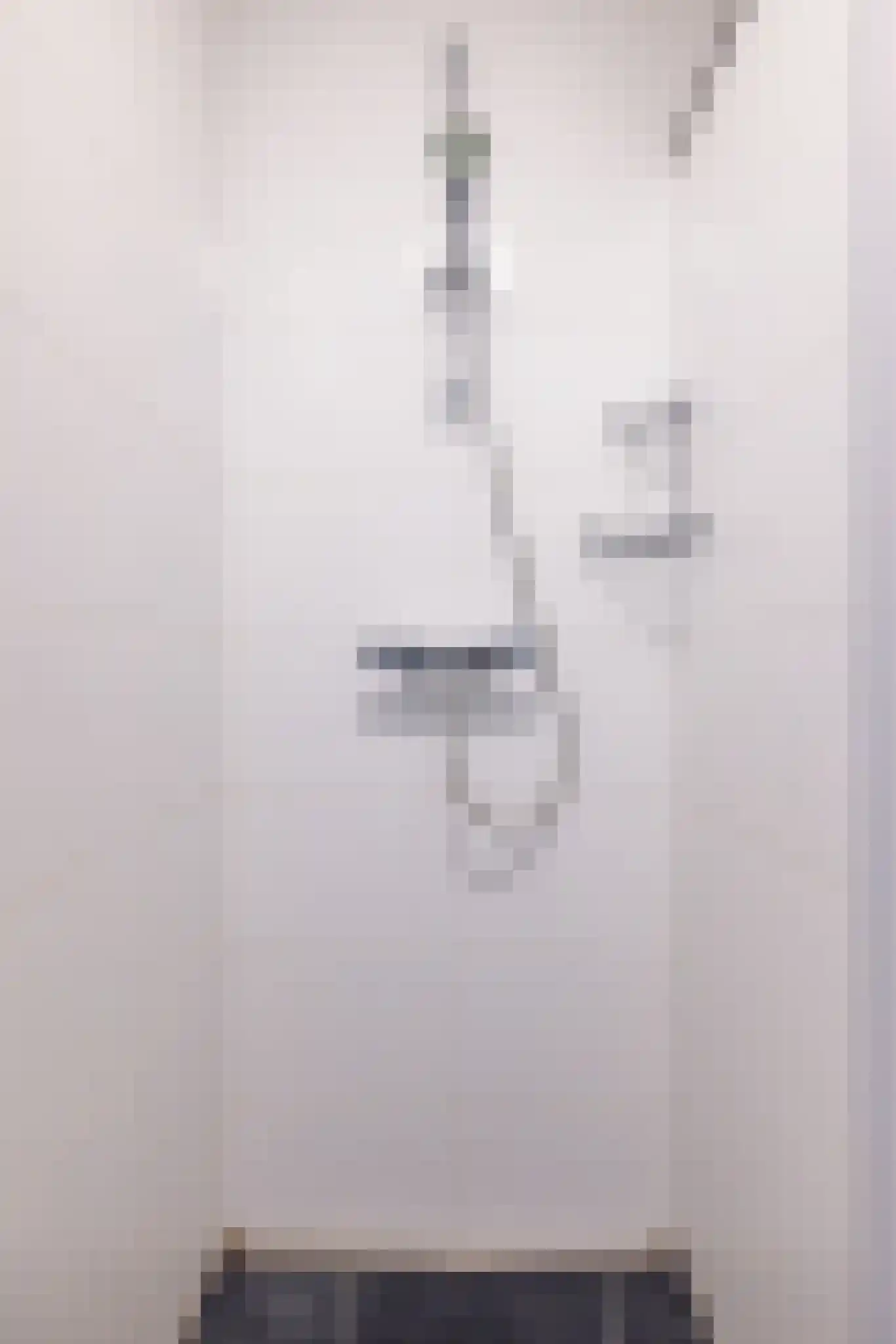 Pharshoeke 57 Heeg thumbnail 33