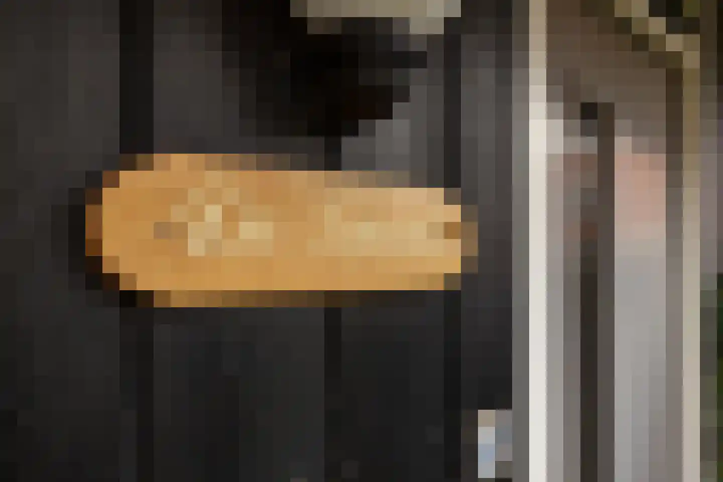 Pharshoeke 57 Heeg thumbnail 5