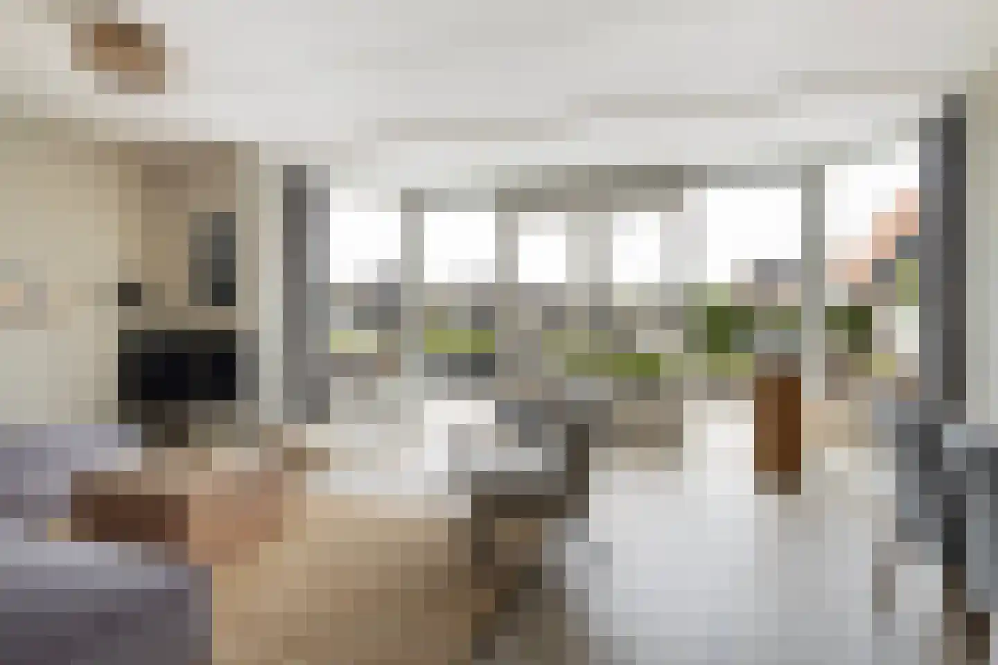 Pharshoeke 8 Heeg thumbnail 11