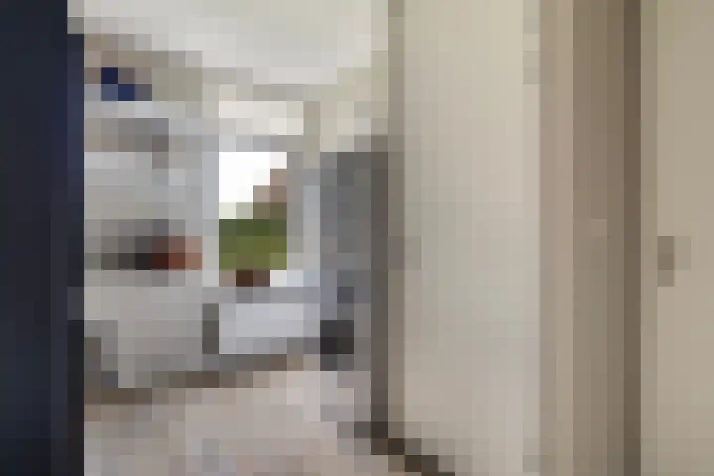 Pharshoeke 8 Heeg thumbnail 19