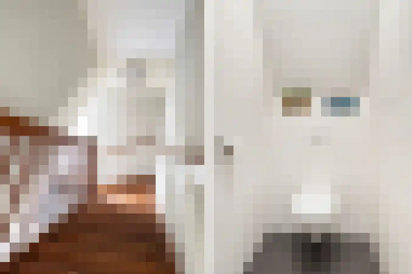 Pharshoeke 8 Heeg thumbnail 21