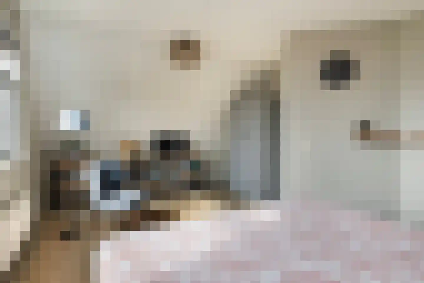 Pharshoeke 8 Heeg thumbnail 23