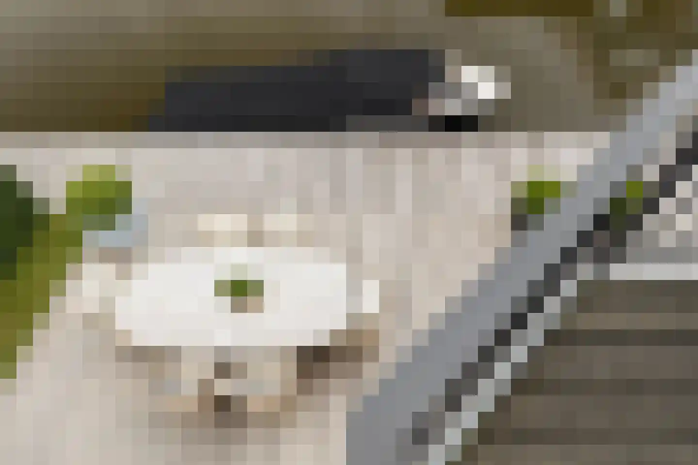 Pharshoeke 8 Heeg thumbnail 29