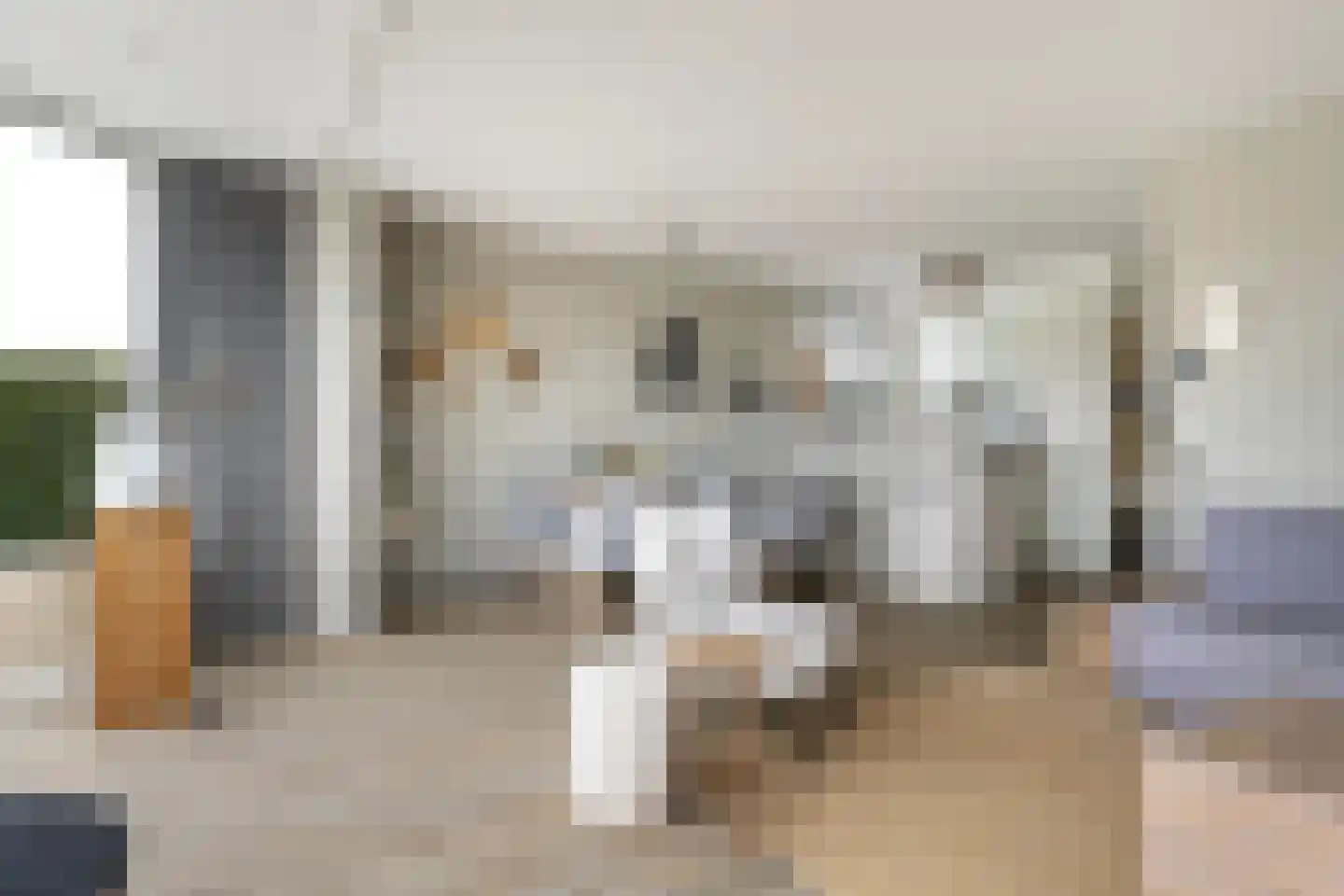Pharshoeke 8 Heeg thumbnail 9