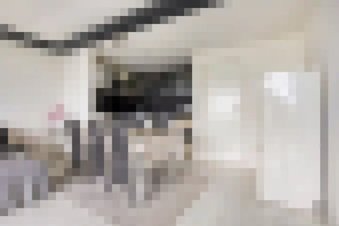 Pharus 143 Zaandam thumbnail 12