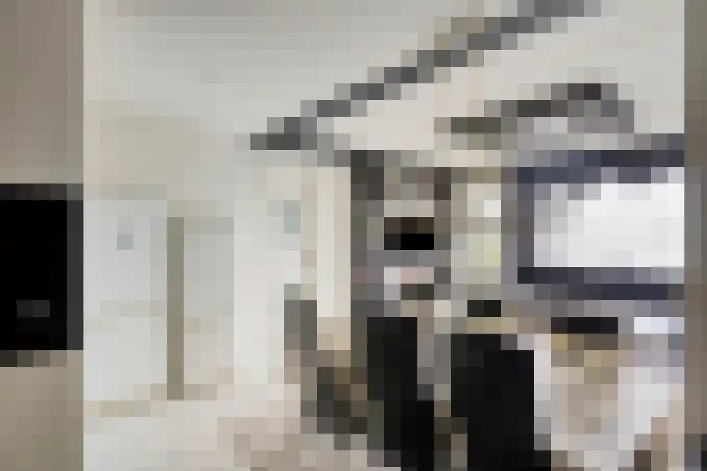 Pharus 143 Zaandam thumbnail 14