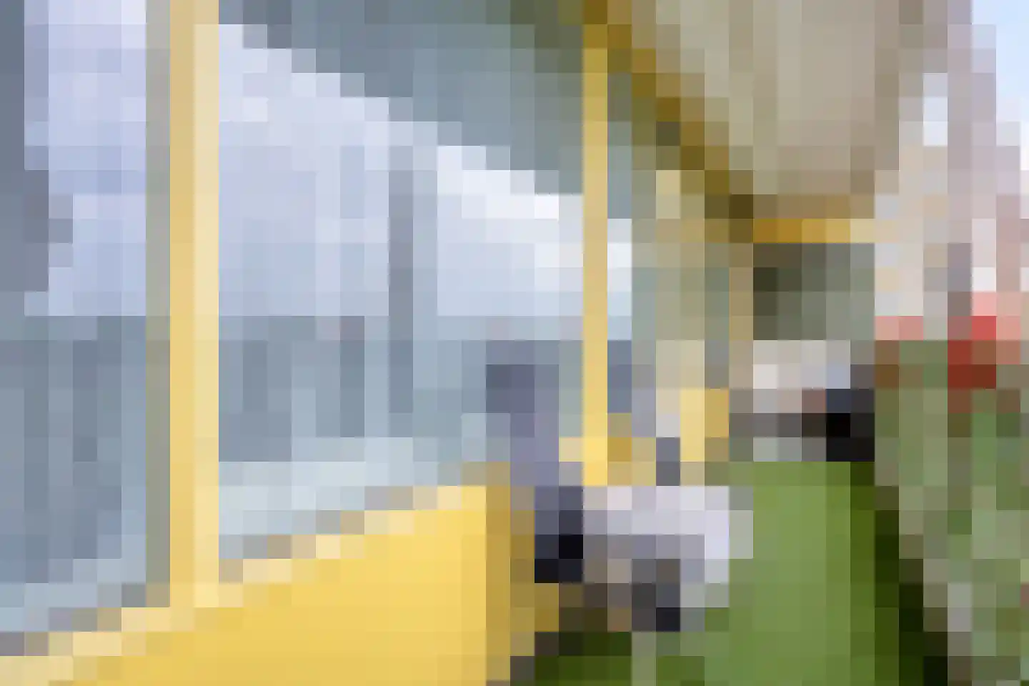 Pharus 143 Zaandam thumbnail 25
