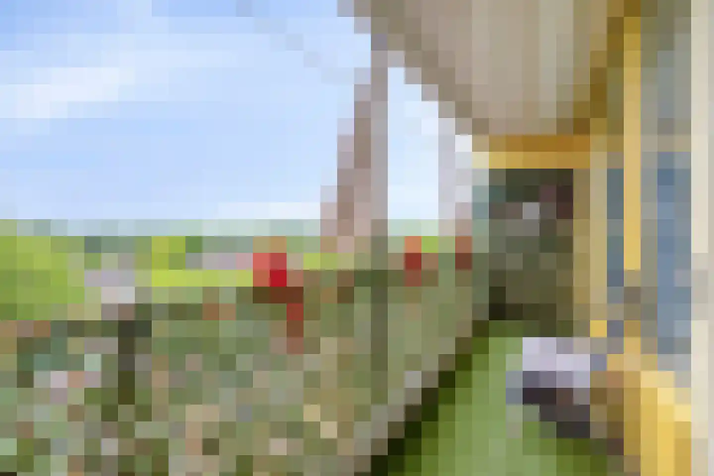 Pharus 143 Zaandam thumbnail 26
