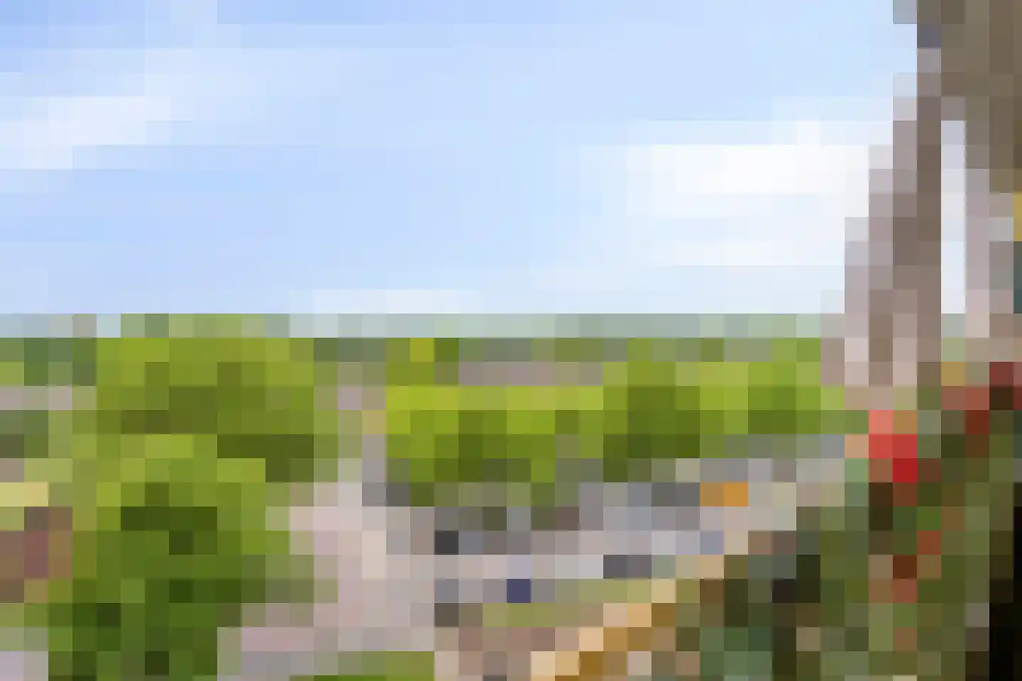 Pharus 143 Zaandam thumbnail 27