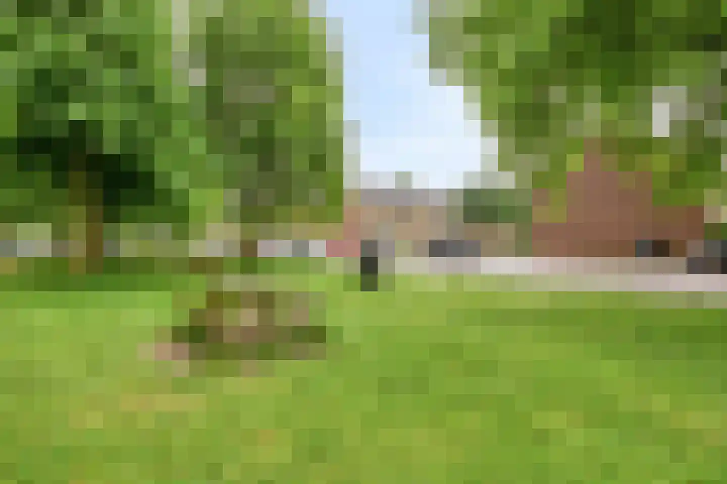 Pharus 143 Zaandam thumbnail 28