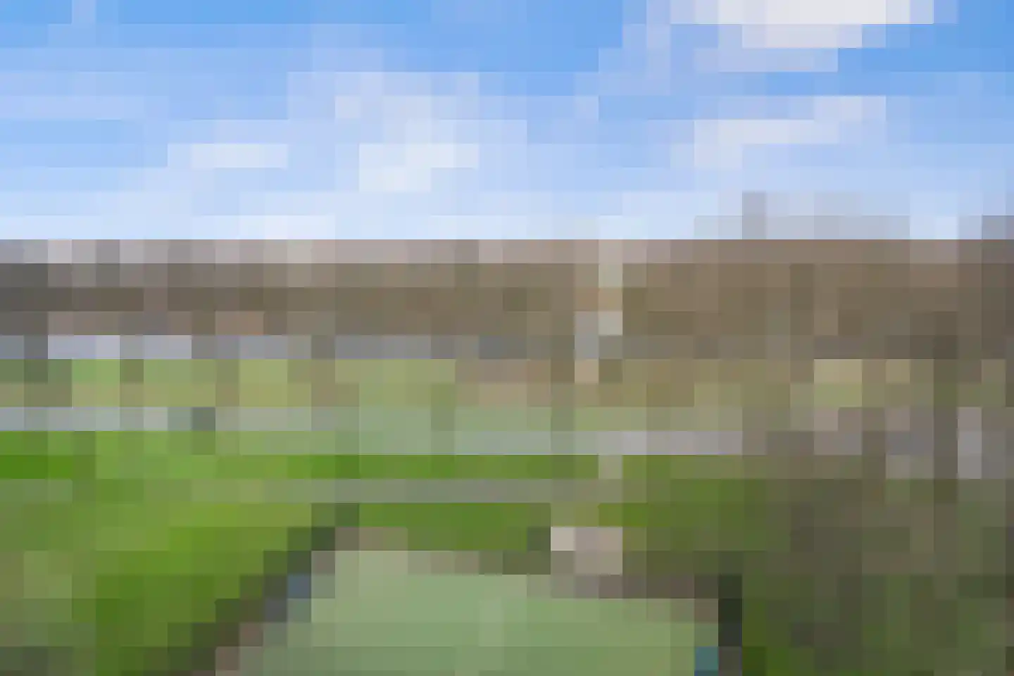 Pharus 143 Zaandam thumbnail 32