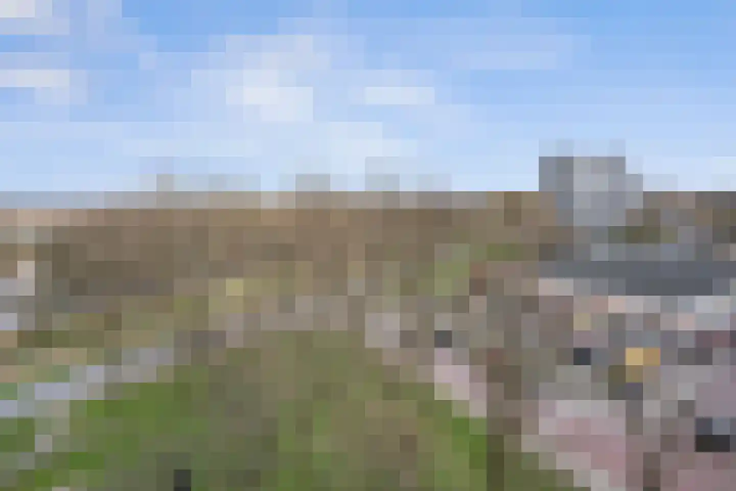 Pharus 143 Zaandam thumbnail 33