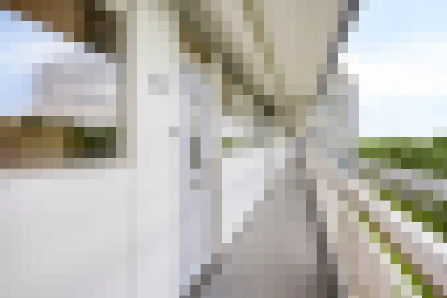 Pharus 143 Zaandam thumbnail 5