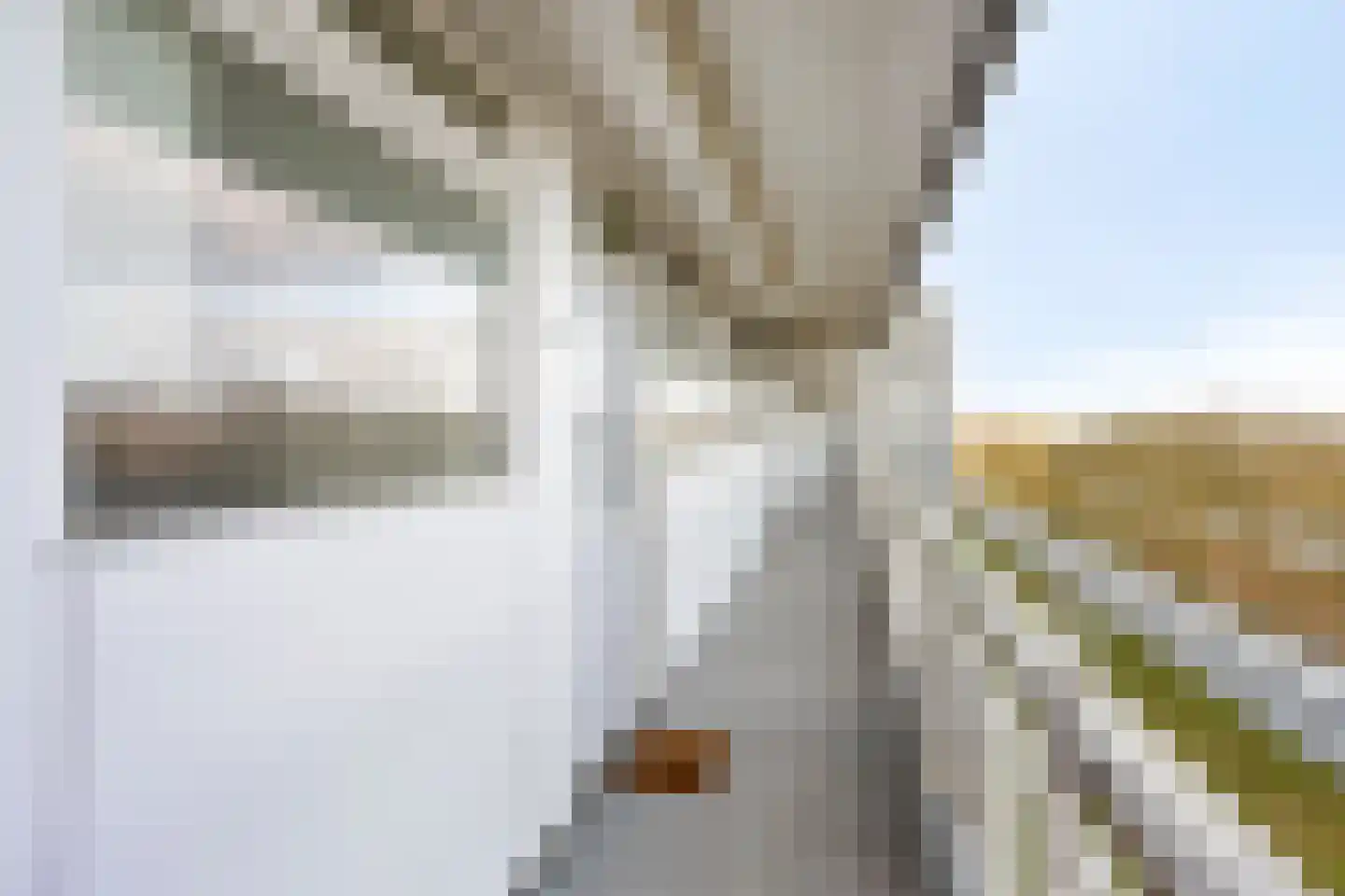 Pharus 149 Zaandam thumbnail 6