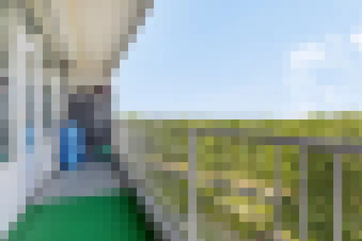 Pharus 208 Zaandam thumbnail 17
