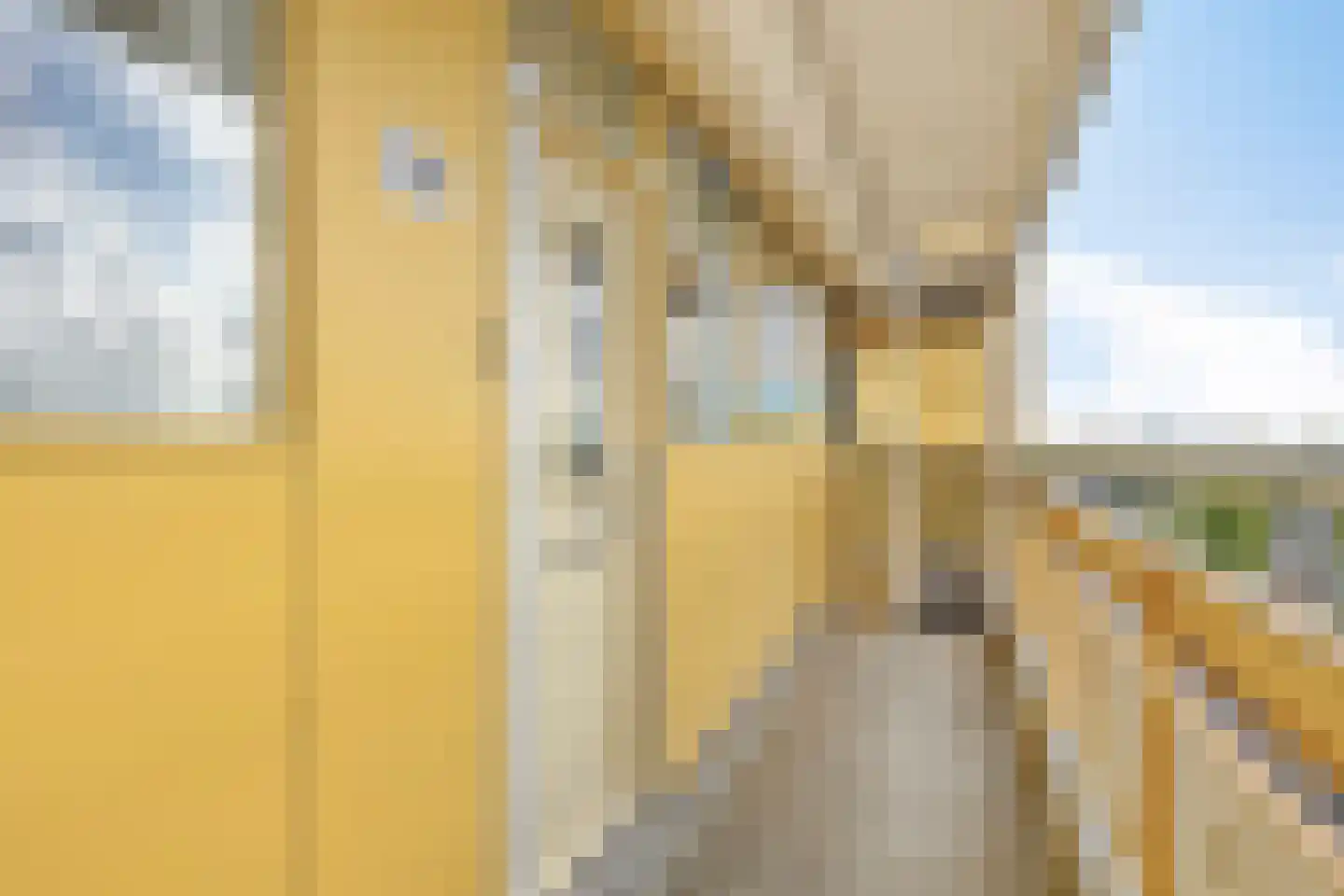 Pharus 208 Zaandam thumbnail 19