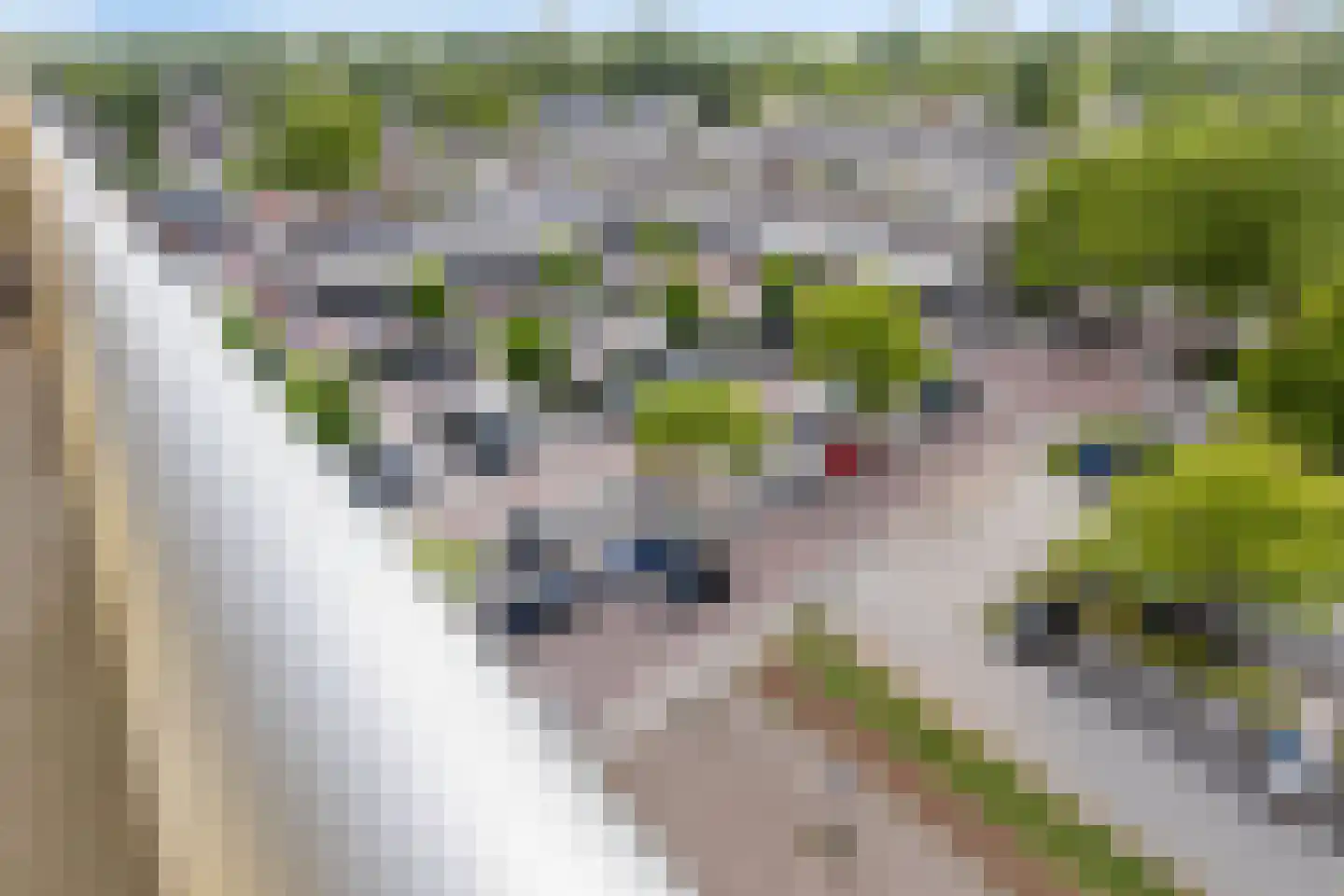 Pharus 208 Zaandam thumbnail 20