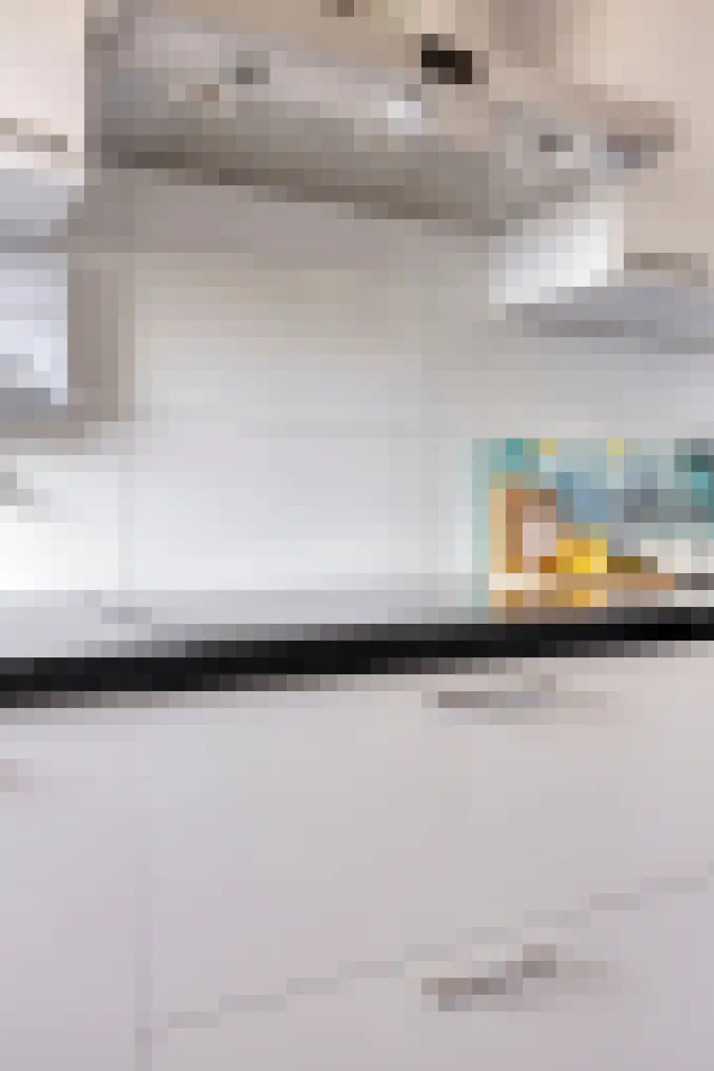 Pharus 208 Zaandam thumbnail 22