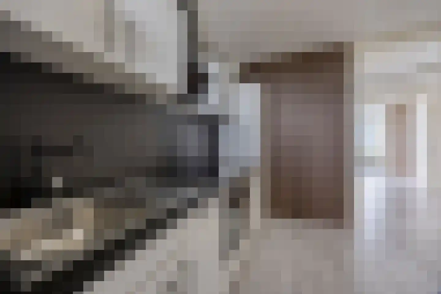 Pharus 238 Zaandam thumbnail 15