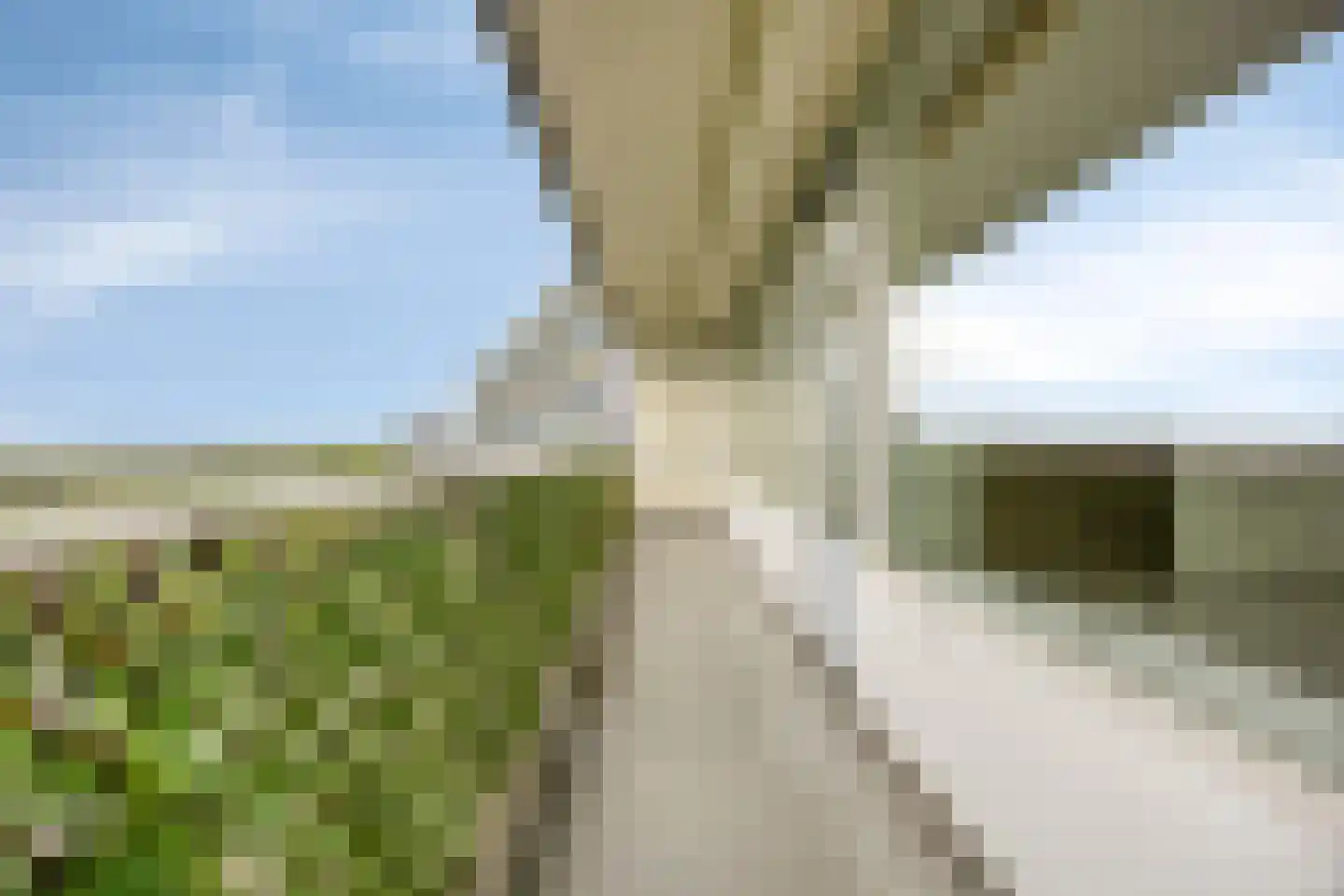 Pharus 238 Zaandam thumbnail 26