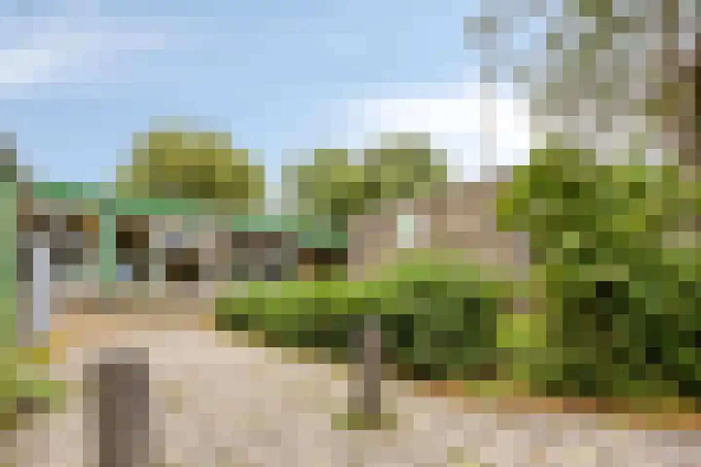 Pharus 238 Zaandam thumbnail 30