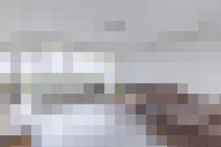 Pharus 252 dans Zaandam