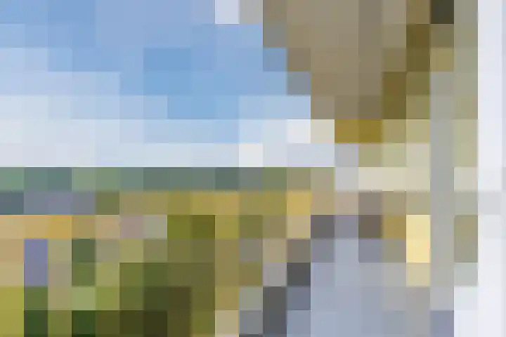 Pharus 252 Zaandam thumbnail 25