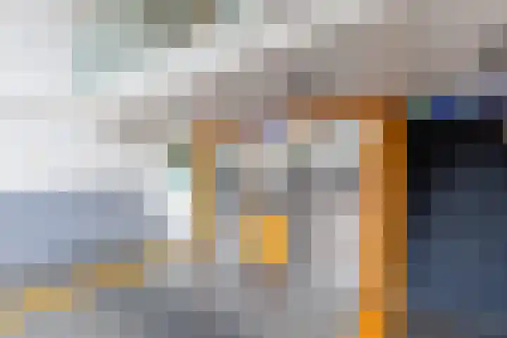 Pharus 252 Zaandam thumbnail 27