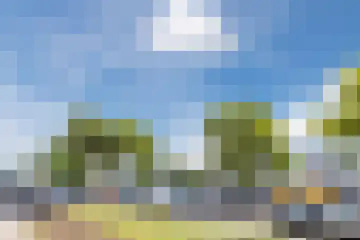 Pharus 252 Zaandam thumbnail 30