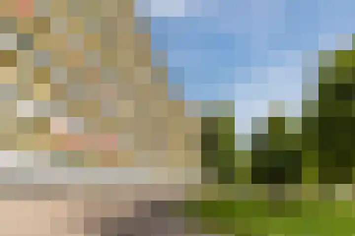 Pharus 252 Zaandam thumbnail 4