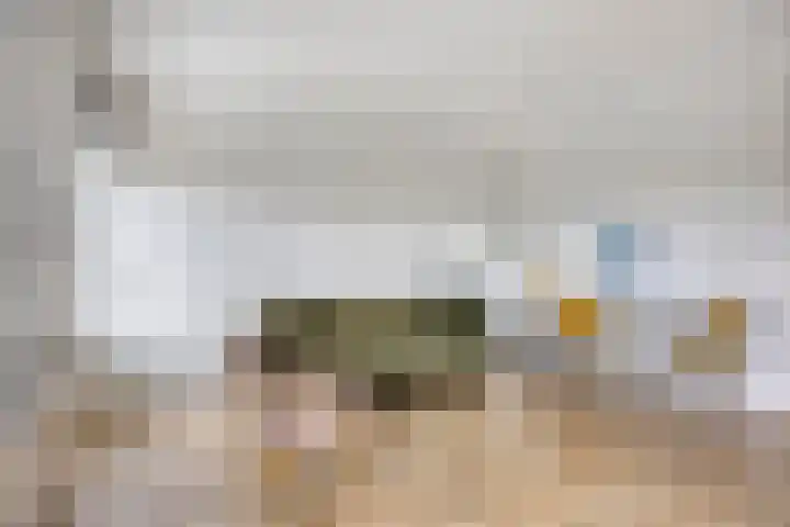 Pharus 277 in Zaandam