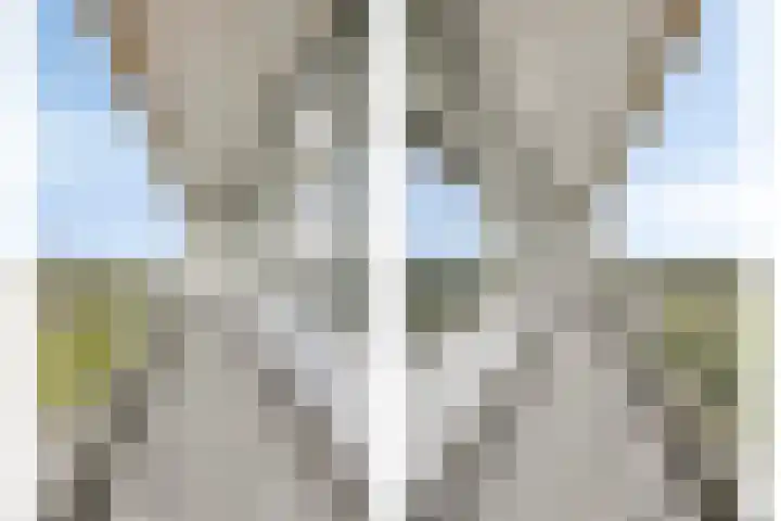 Pharus 277 Zaandam thumbnail 16