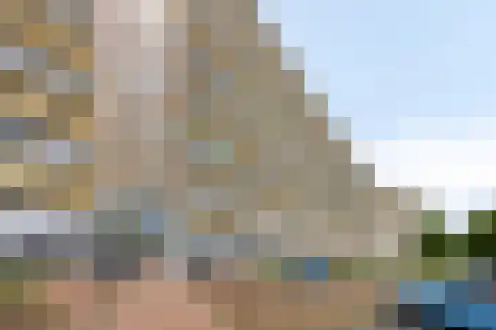 Pharus 277 Zaandam thumbnail 17