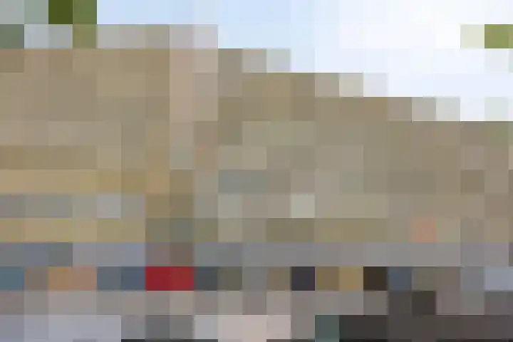 Pharus 277 Zaandam thumbnail 19
