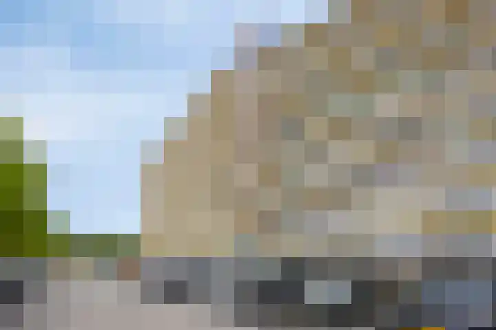 Pharus 277 Zaandam thumbnail 20
