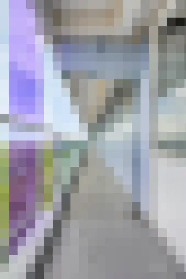 Pharus 277 Zaandam thumbnail 22