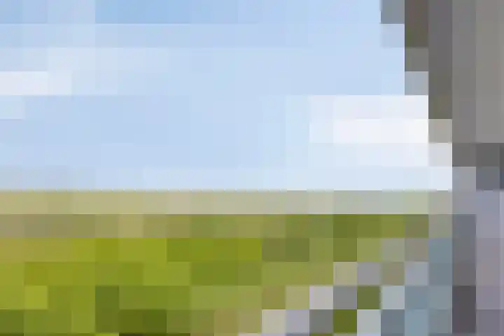 Pharus 277 Zaandam thumbnail 23