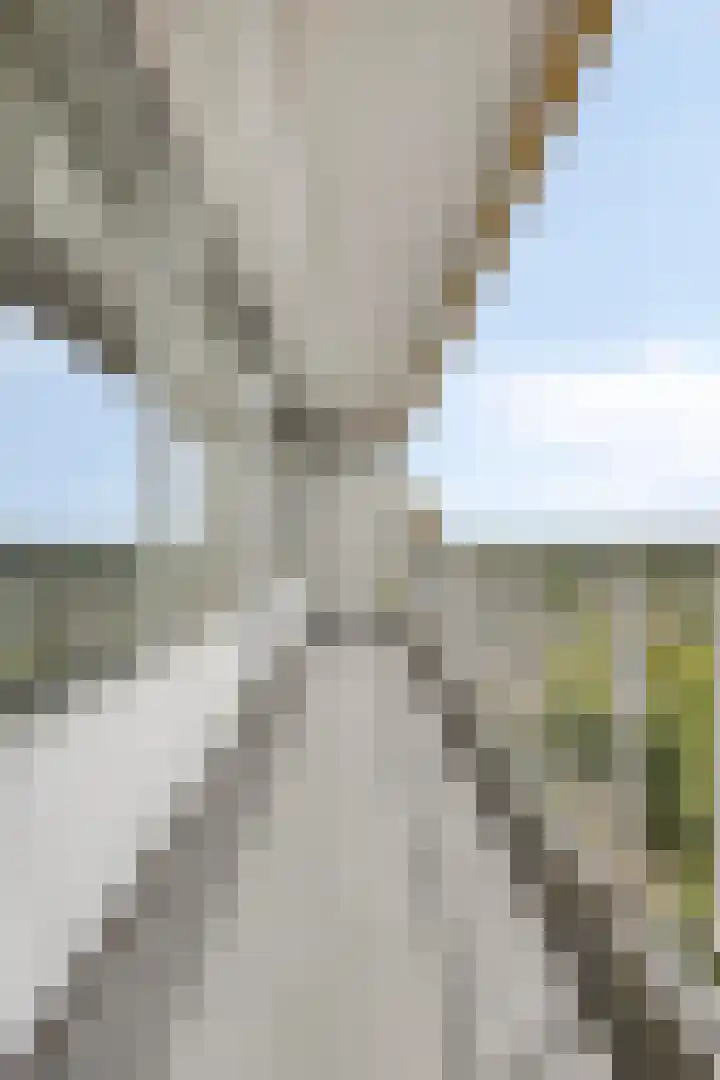Pharus 277 Zaandam thumbnail 24