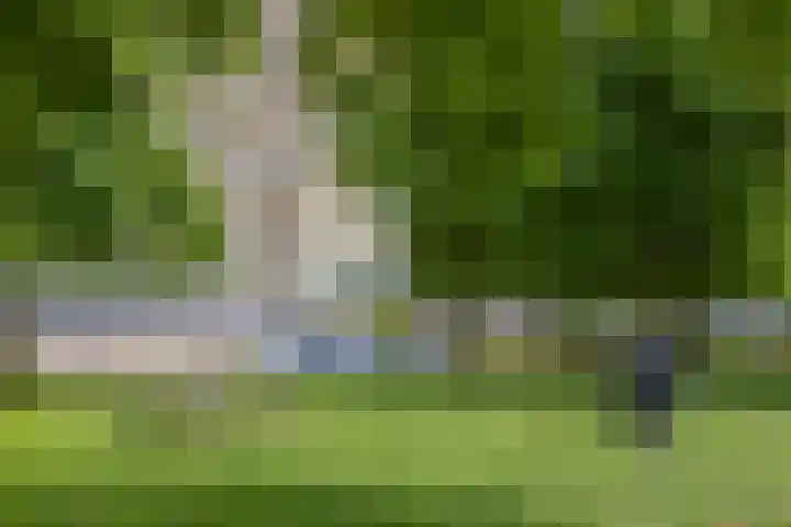 Pharus 277 Zaandam thumbnail 27