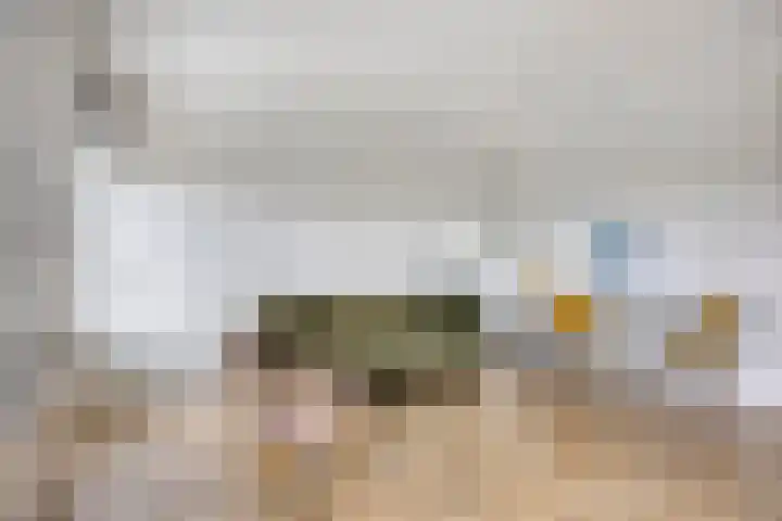 Pharus 277 Zaandam thumbnail 30