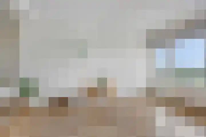 Pharus 277 Zaandam thumbnail 4
