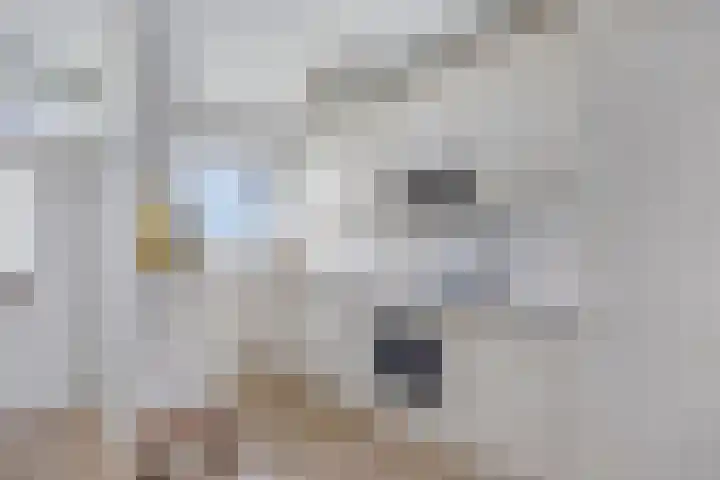 Pharus 277 Zaandam thumbnail 5