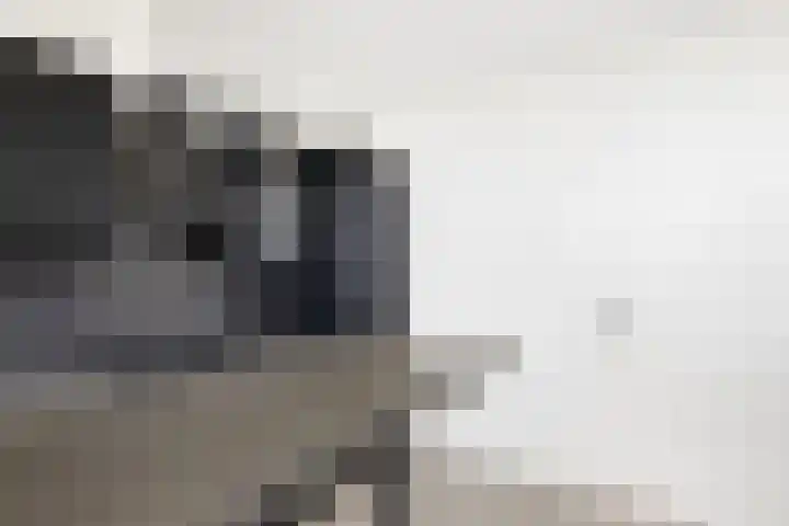 Pharus 292 Zaandam thumbnail 10