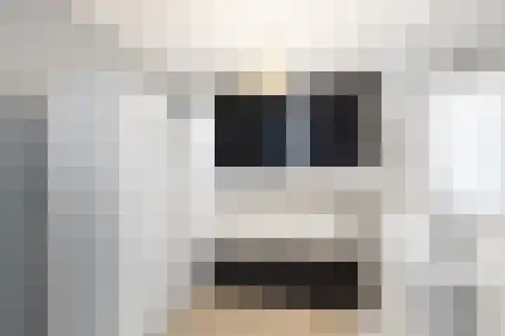 Pharus 292 Zaandam thumbnail 17