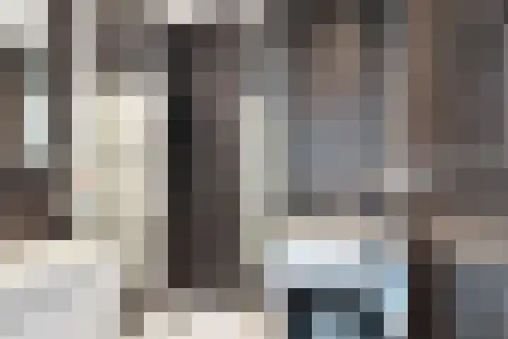 Pharus 292 Zaandam thumbnail 20