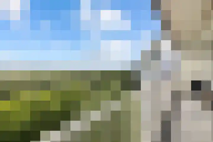 Pharus 292 Zaandam thumbnail 25