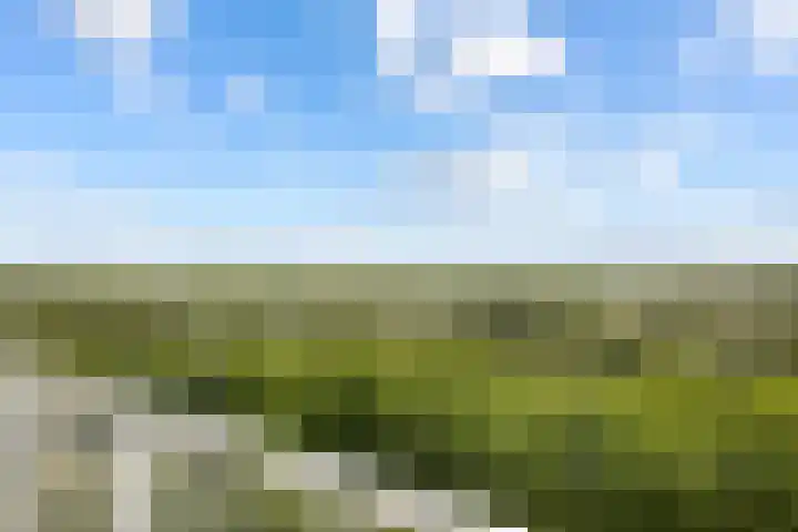 Pharus 292 Zaandam thumbnail 26