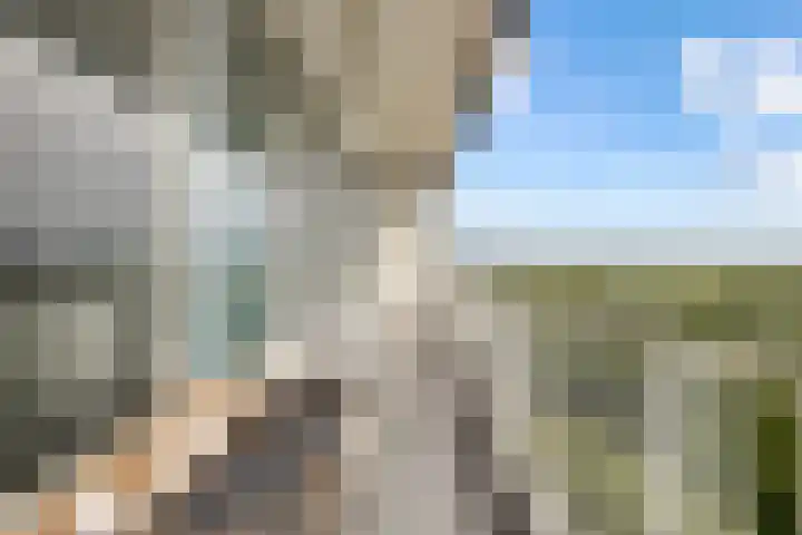 Pharus 292 Zaandam thumbnail 27