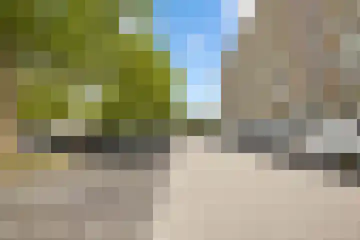 Pharus 292 Zaandam thumbnail 30